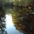 St. Marks River